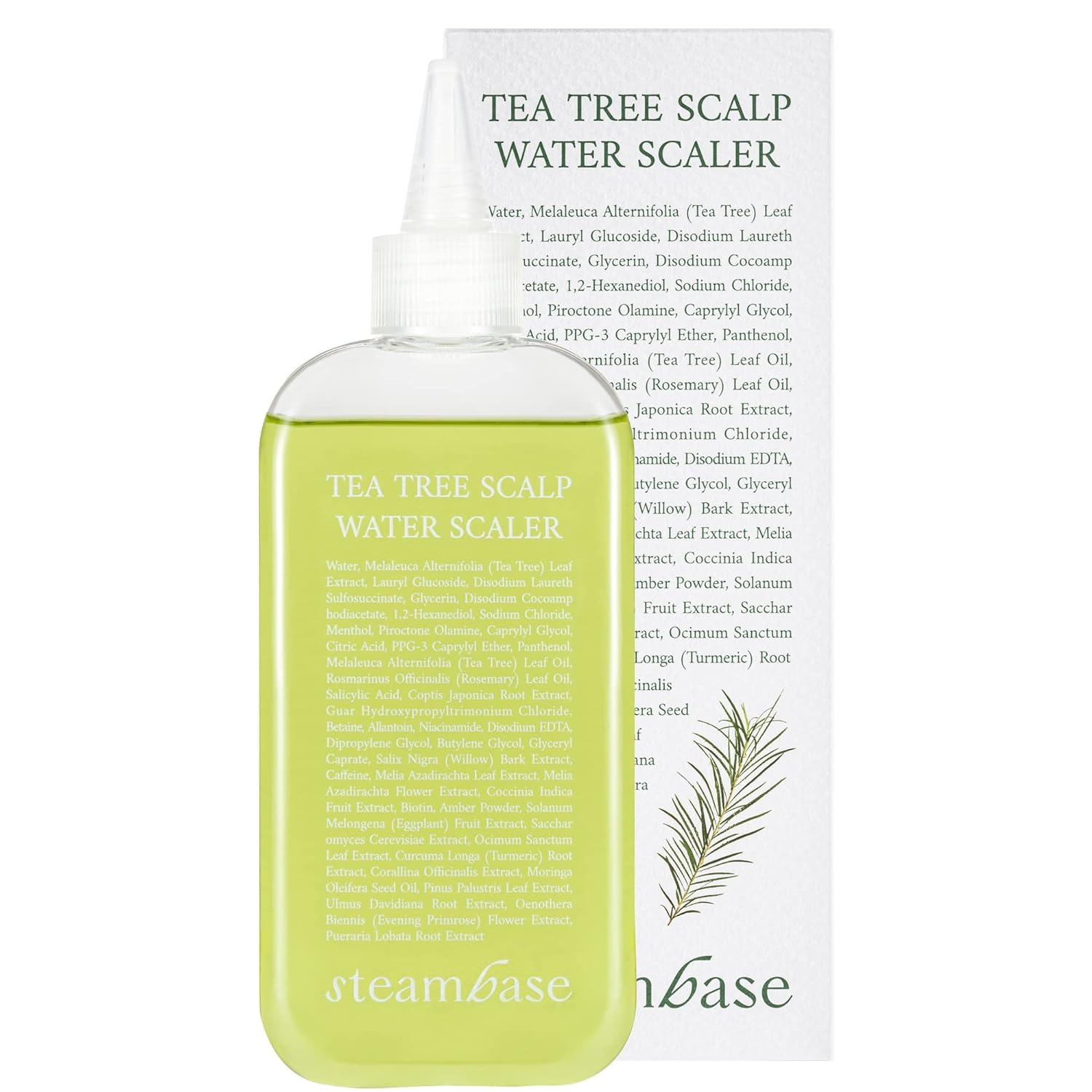 STEAMBASE Tea Tree Scalp Water Scaler 250ml - Atelier De Glow