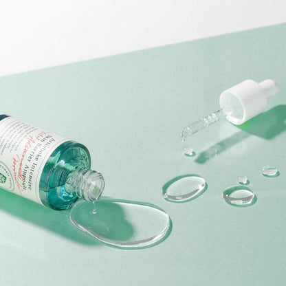 Protect and Nourish Your Skin with AXIS-Y Artichoke Intensive Skin Barrier Ampoule